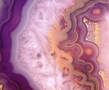This photo of the amethyst-colored inside of a geode was taken by Wendy Starr of Canterbury, England.